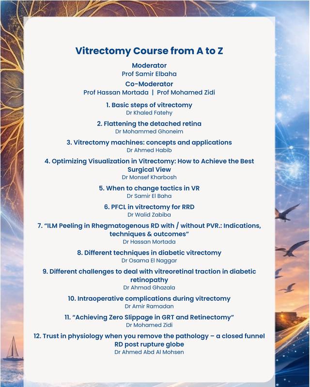 Vitrectomy from A to Z flyer, page 2 schedule